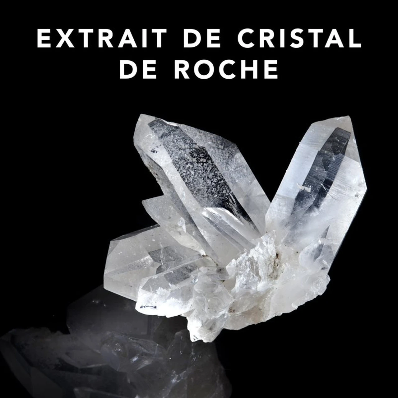 Soin Trilliance Sebastian 250 Ml 4 Soin Trilliance Sebastian 250 Ml – Image 2