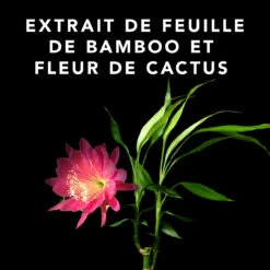 Volupt Spray Sebastian 150ml -Hair Store Fr Boutique 52361 4 35228.1688735230