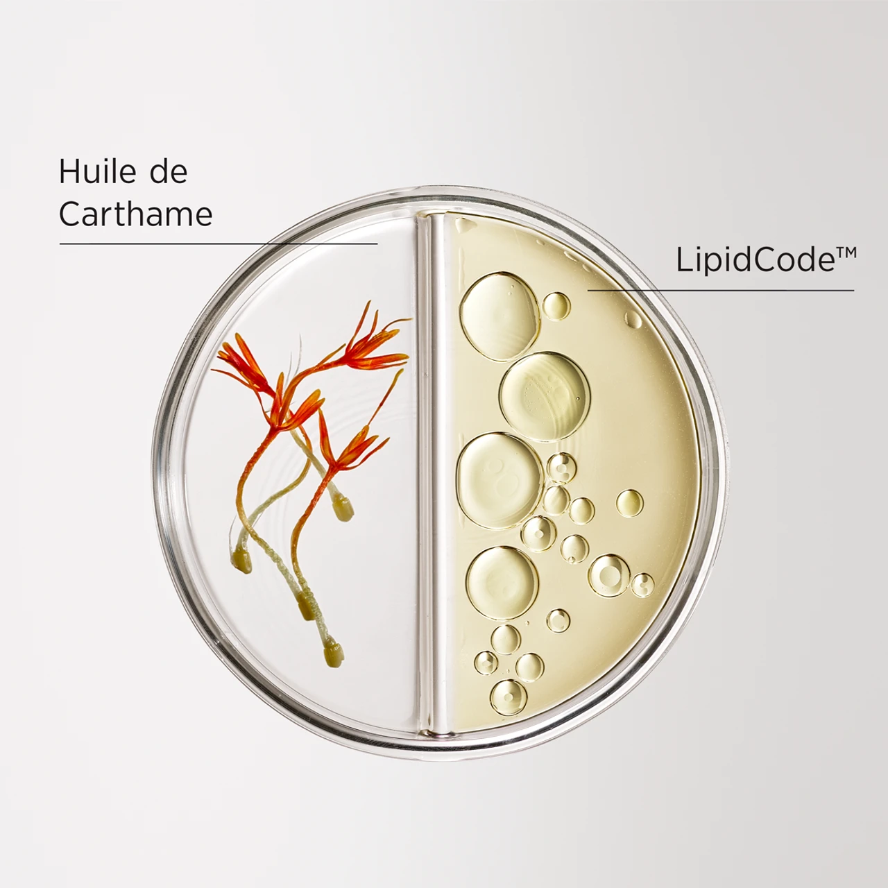 Spray Anti-Uv Et Thermoprotecteur LuxeBlond System Professional 180ml 5 Spray Anti-Uv Et Thermoprotecteur LuxeBlond System Professional 180ml â Image 3